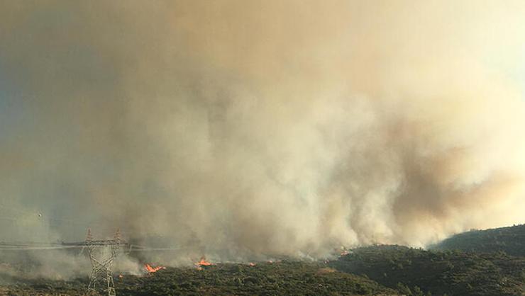 İzmir Çeşmedeki yangına havadan müdahale başladı