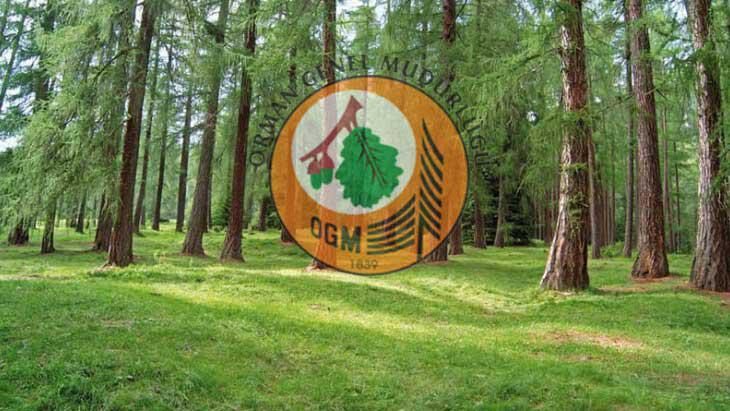 Orman Genel Müdürlüğü 700 daimi işçi alacak