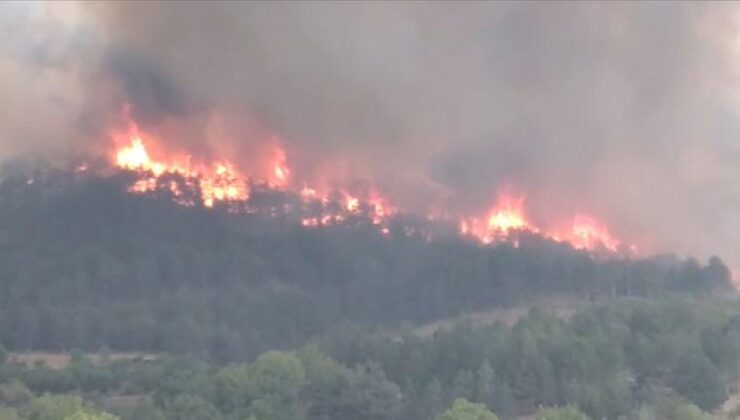 Ankarada orman yangını çıktı