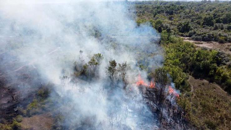 UNESCO listesindeki Kızılırmak Deltası Kuş Cennetinde yangın…