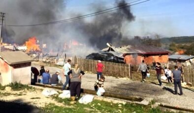Bolu Kuzfındık köyünde bir evde çıkan yangın bütün köye sıçradı