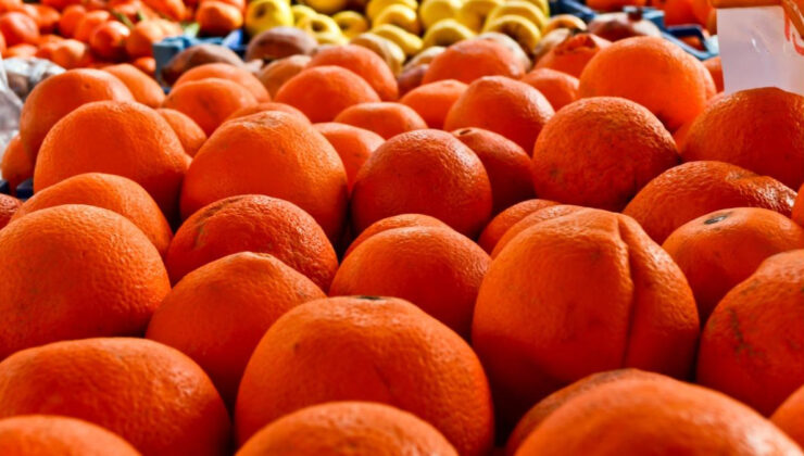 Rusya’ya turunçgil ihracatı yılın ilk çeyreğinde 117.6 milyon dolar oldu