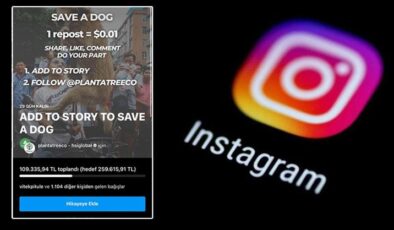 Save a dog bağışı nedir Instagramdan Save a dog bağışı nasıl…