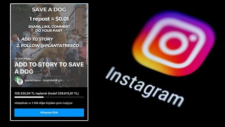 Save a dog bağışı nedir Instagramdan Save a dog bağışı nasıl…