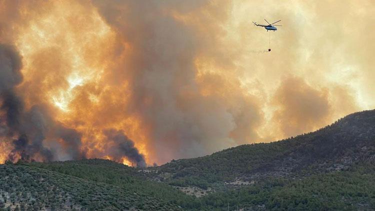 AFAD: Orman yangını çıkan 5 kente 62,5 milyon TL yardım gönderildi