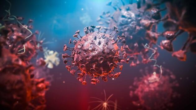 Bilim insanlarından 'norovirüs' uyarısı: İngiltere'de vakalar son aylarda 3 kat arttı