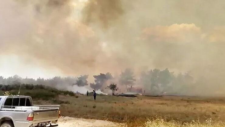 Son dakika: Antalya Manavgatta yangın çıktı
