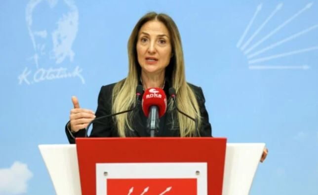 Aylin Nazlıaka Milletvekili Aday Adaylığı Hakkında Açıklama Yaptı