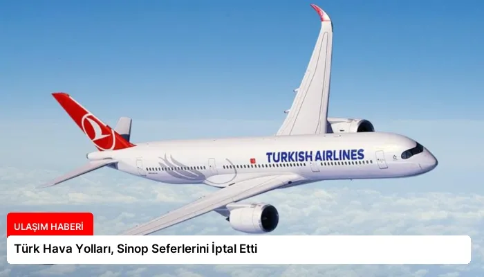 Türk Hava Yolları, Sinop Seferlerini İptal Etti