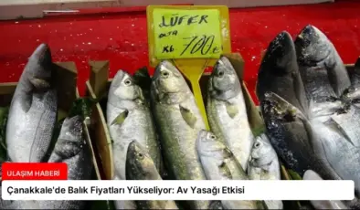 Çanakkale’de Balık Fiyatları Yükseliyor: Av Yasağı Etkisi