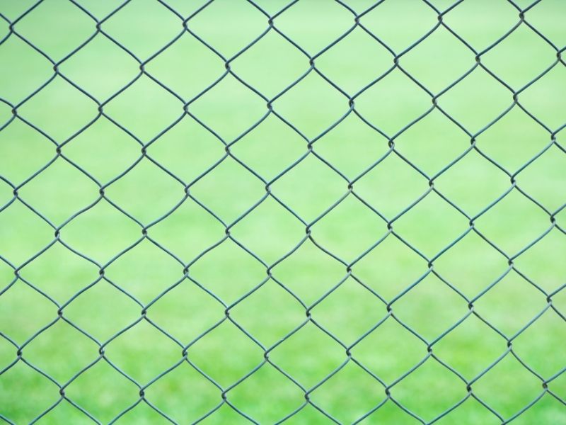 Tel Çit Seçiminde Dikkat Edilmesi Gerekenler