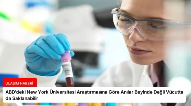 ABD’deki New York Üniversitesi Araştırmasına Göre Anılar Beyinde Değil Vücutta da Saklanabilir