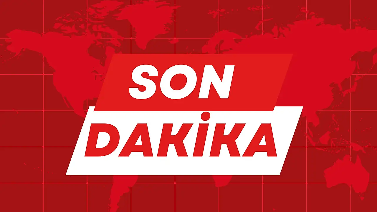 Fındık Fiyatları ile İlgili Merak Edilen 5 Önemli Nokta