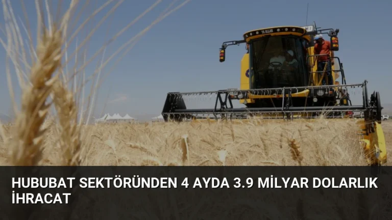 Hububat Sektöründen 4 Ayda 3.9 Milyar Dolarlık İhracat