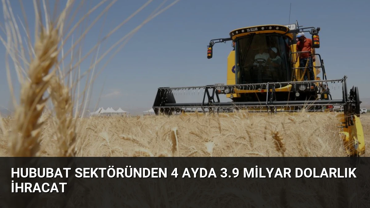 Hububat Sektöründen 4 Ayda 3.9 Milyar Dolarlık İhracat