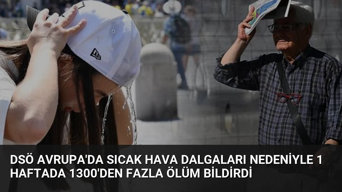 DSÖ Avrupa’da Sıcak Hava Dalgaları Nedeniyle 1 Haftada 1300’den Fazla Ölüm Bildirdi