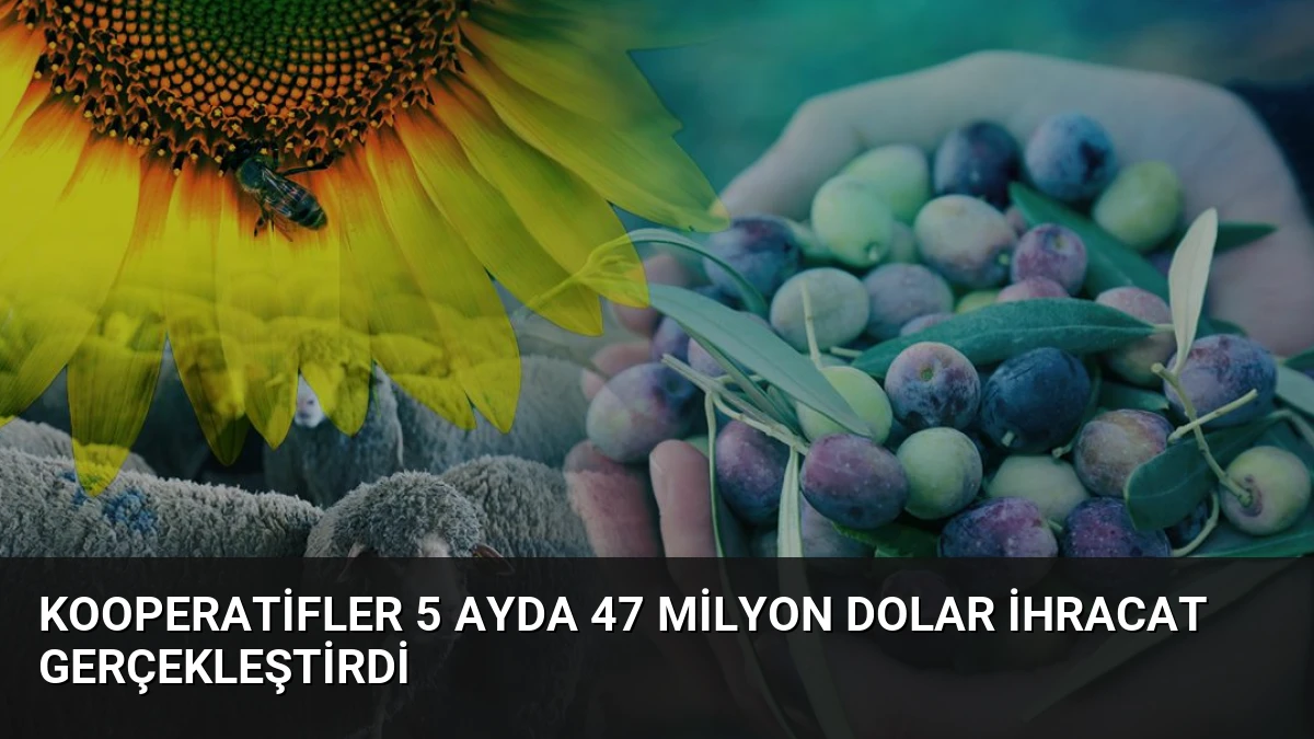 Kooperatifler 5 Ayda 47 Milyon Dolar İhracat Gerçekleştirdi