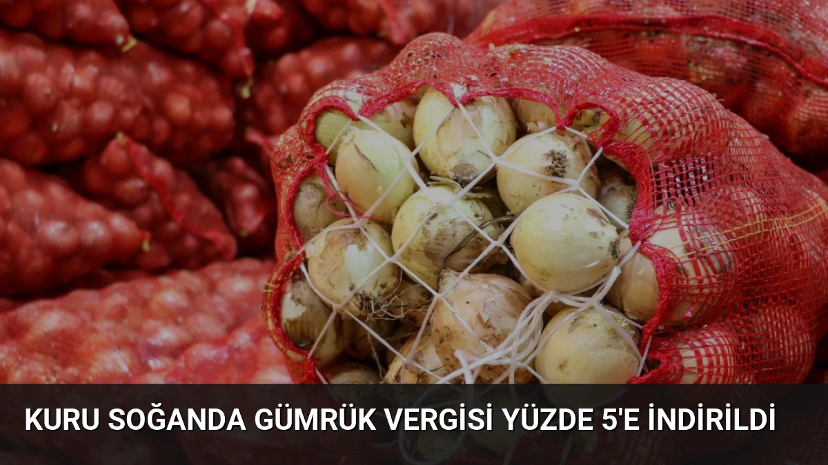 Kuru Soğanda Gümrük Vergisi Yüzde 5’e İndirildi