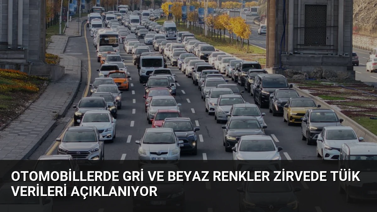 Otomobillerde Gri ve Beyaz Renkler Zirvede TÜİK Verileri Açıklanıyor