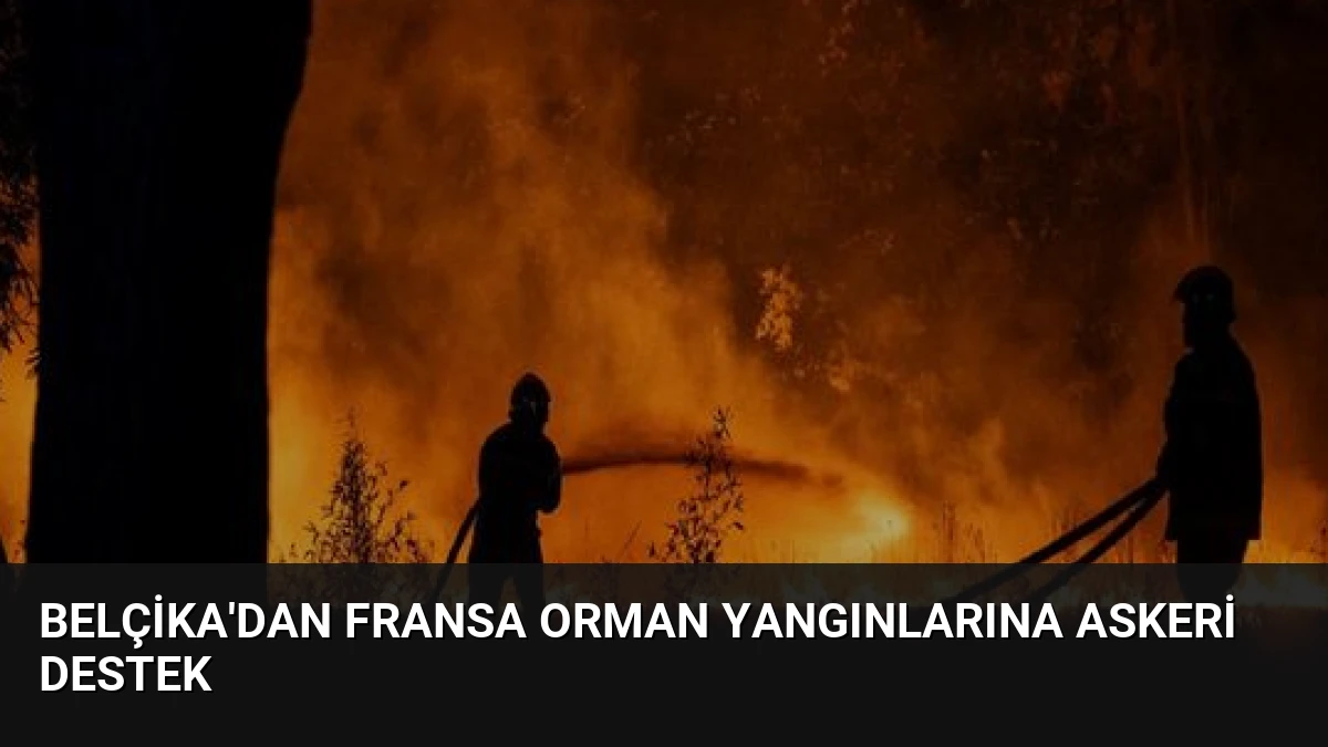 Belçika’dan Fransa Orman Yangınlarına Askeri Destek