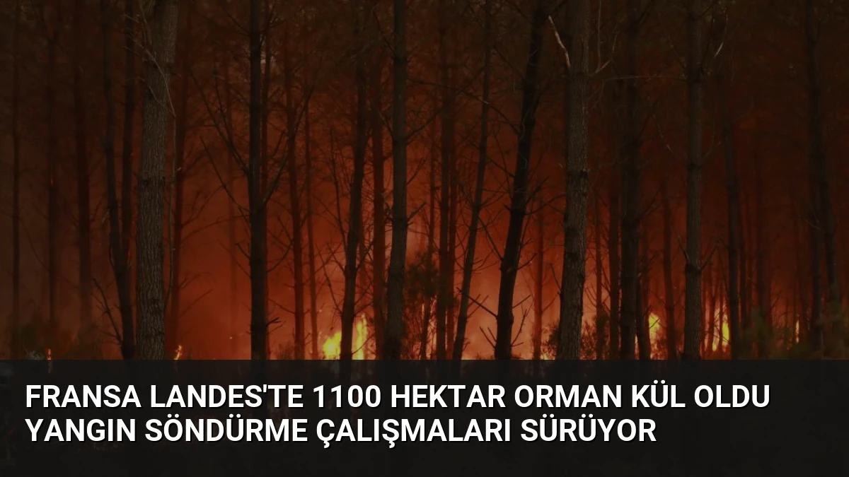 Fransa Landes’te 1100 Hektar Orman Kül Oldu Yangın Söndürme Çalışmaları Sürüyor