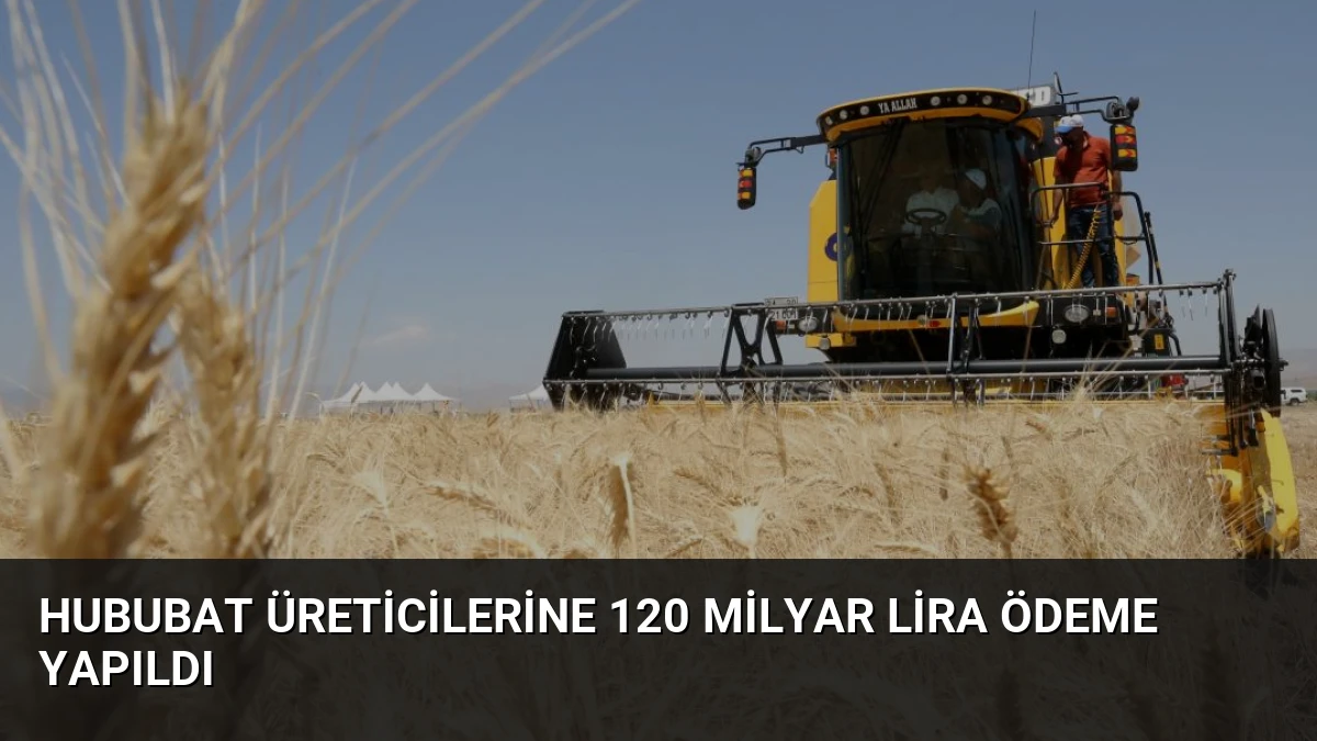 Hububat Üreticilerine 120 Milyar Lira Ödeme Yapıldı