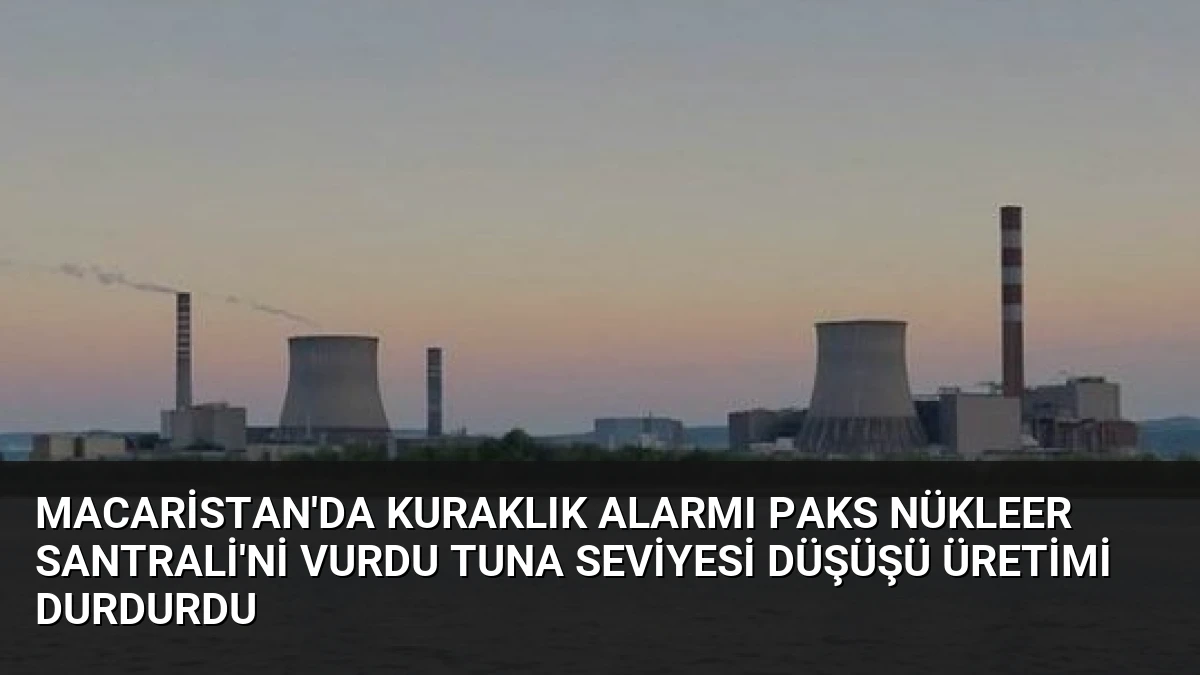 Macaristan’da Kuraklık Alarmı Paks Nükleer Santrali’ni Vurdu Tuna Seviyesi Düşüşü Üretimi Durdurdu