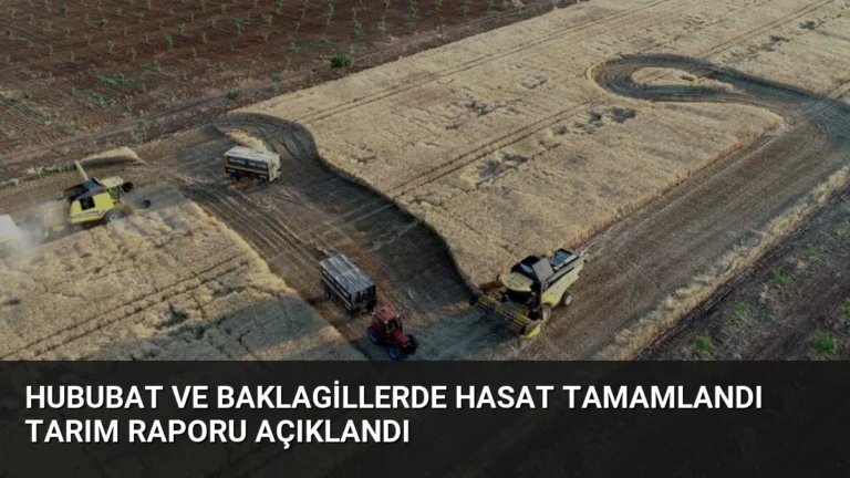 Hububat ve Baklagillerde Hasat Tamamlandı Tarım Raporu Açıklandı