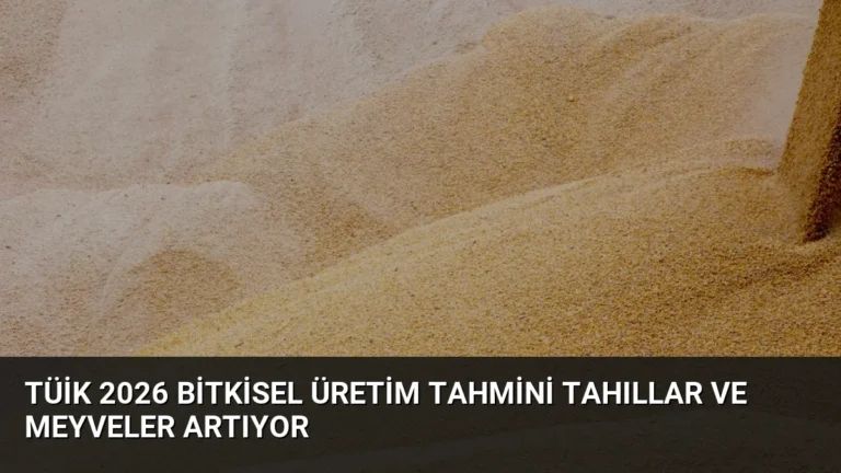 TÜİK 2026 Bitkisel Üretim Tahmini Tahıllar ve Meyveler Artıyor