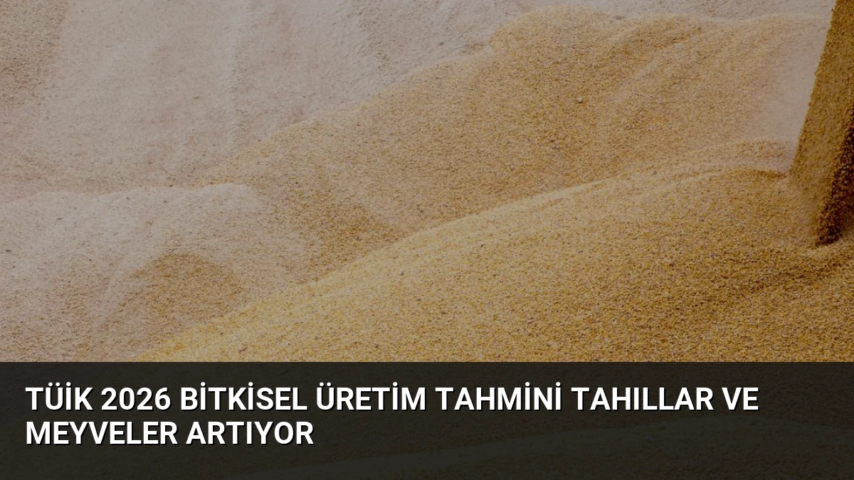 TÜİK 2026 Bitkisel Üretim Tahmini Tahıllar ve Meyveler Artıyor